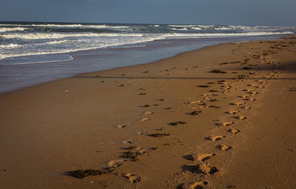 View The Ocean At Flagler Beach, Florida Екстер'єр фото